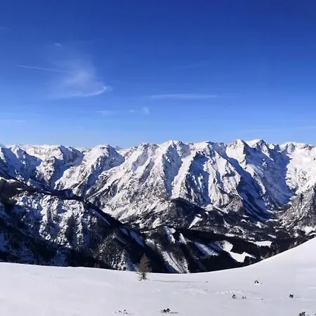 Lisa הינטרסטודר